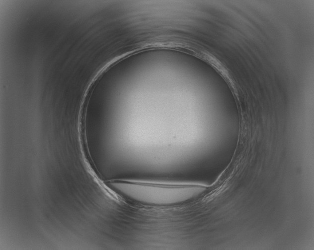 X0000075340803200610061653