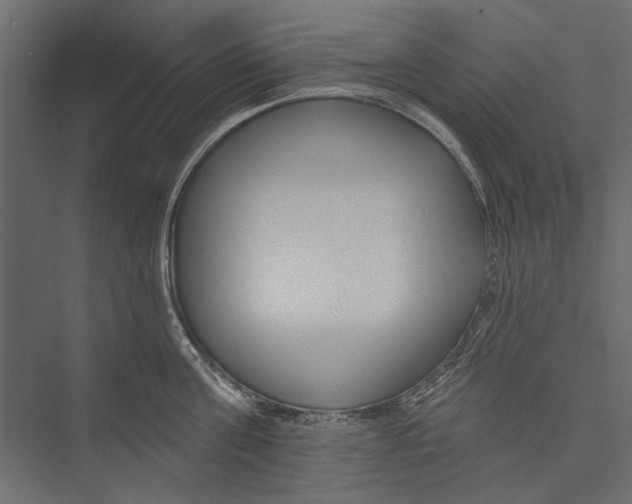 X0000075340811200610061653