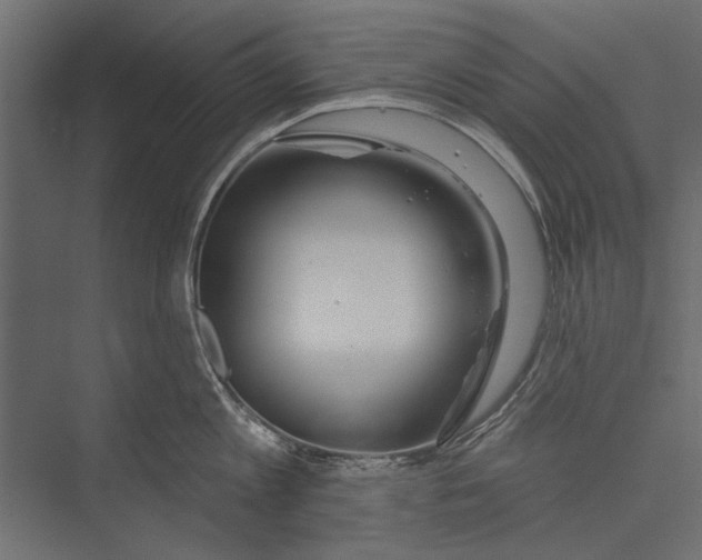 X0000075340813200610061653