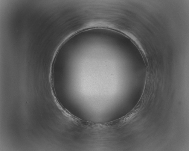 X0000075340815200610061653