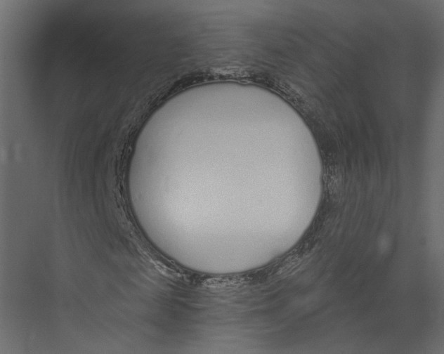 X0000075340817200610061652