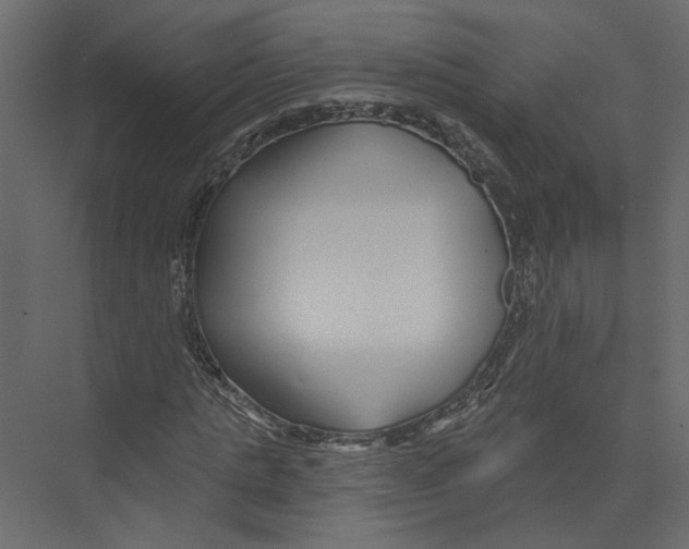 X0000075340821200610061652