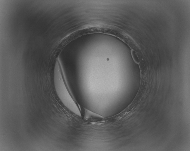 X0000075340822200610061652