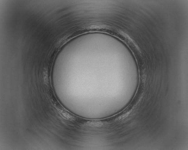 X0000075340825200610061652