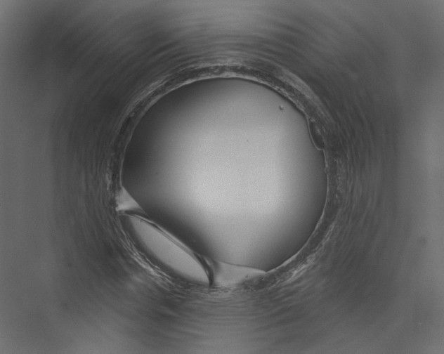 X0000075340826200610061652