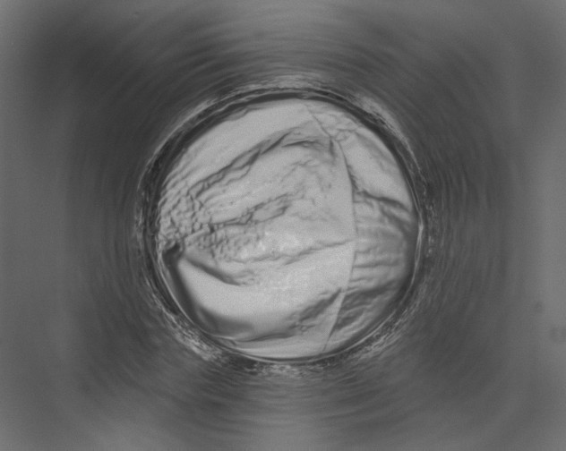 X0000075340827200610061652