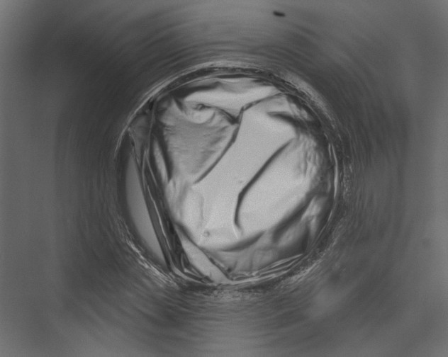 X0000075340829200610061652