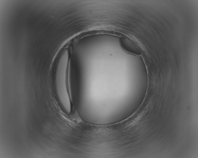 X0000075340830200610061652