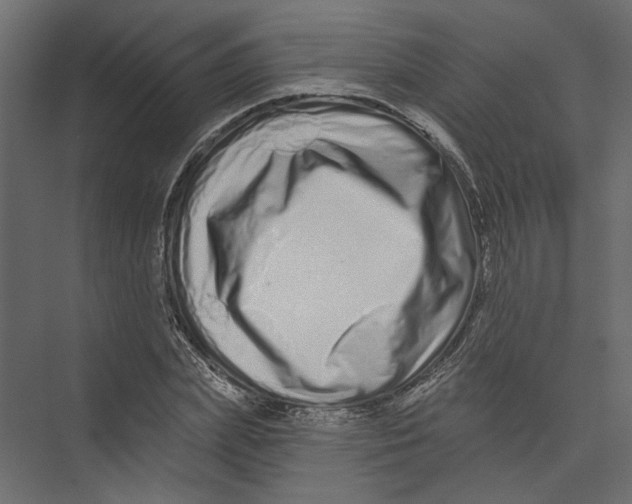 X0000075340831200610061652