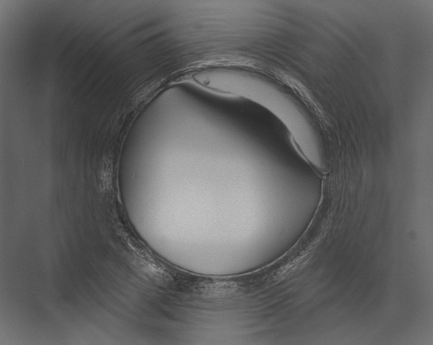X0000075340833200610061652