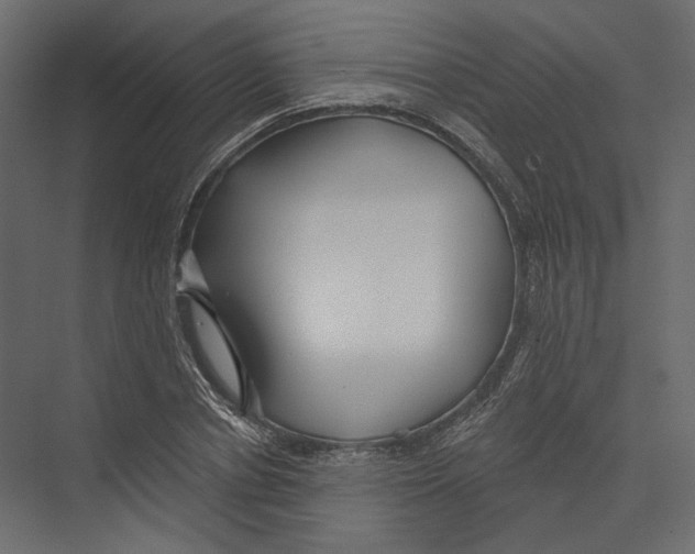 X0000075340834200610061652
