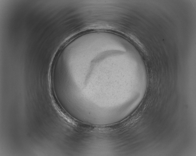 X0000075340840200610061653