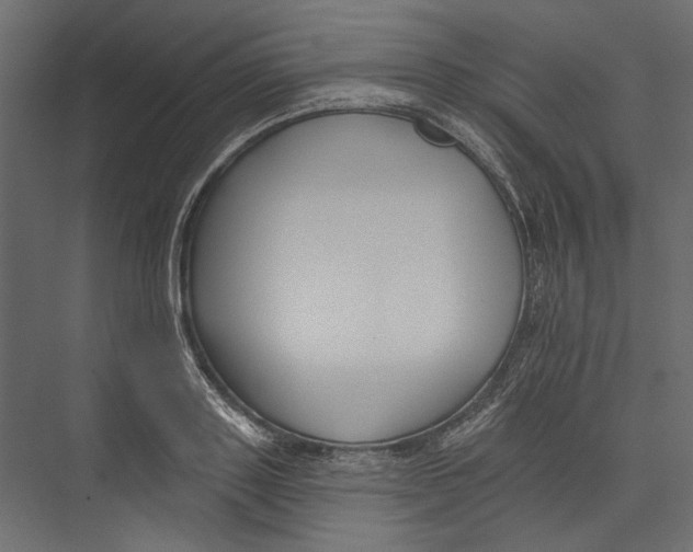 X0000075340843200610061653