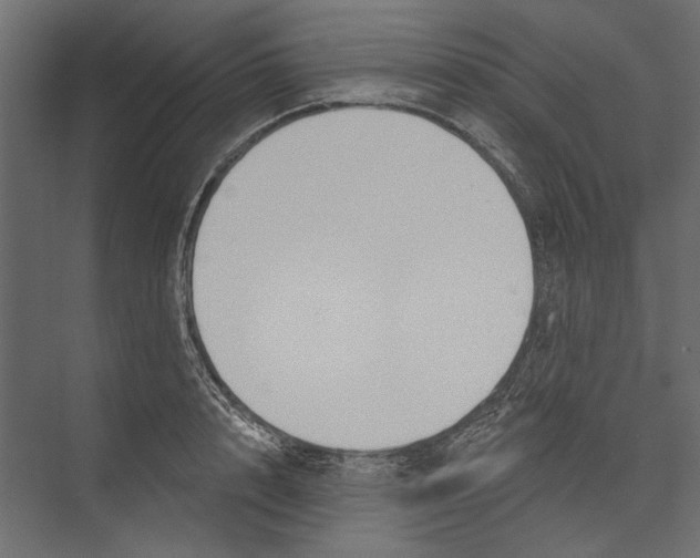X0000075340848200610061653