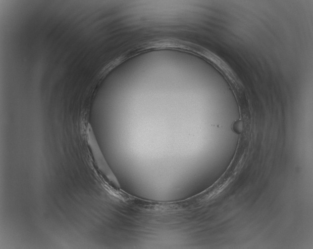 X0000075340857200610061653