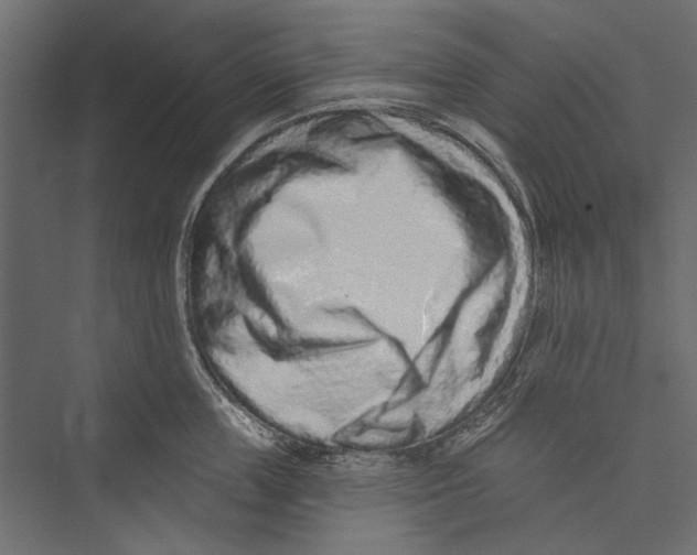 X0000075340859200610061653