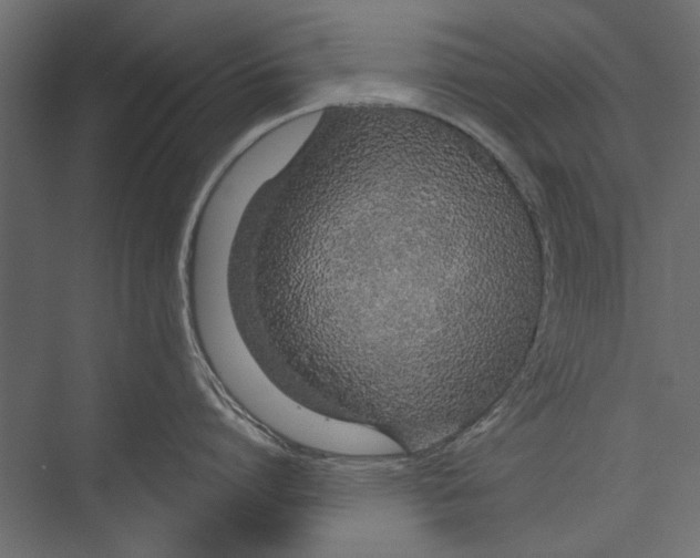 X0000075340864200610061653