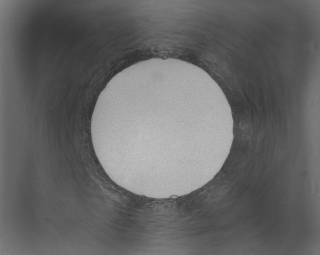 X0000075340865200610061652