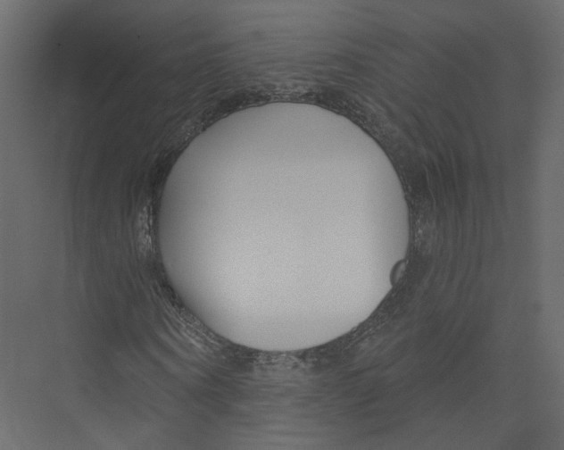X0000075340866200610061652
