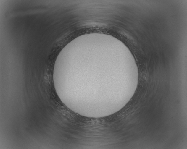 X0000075340869200610061652