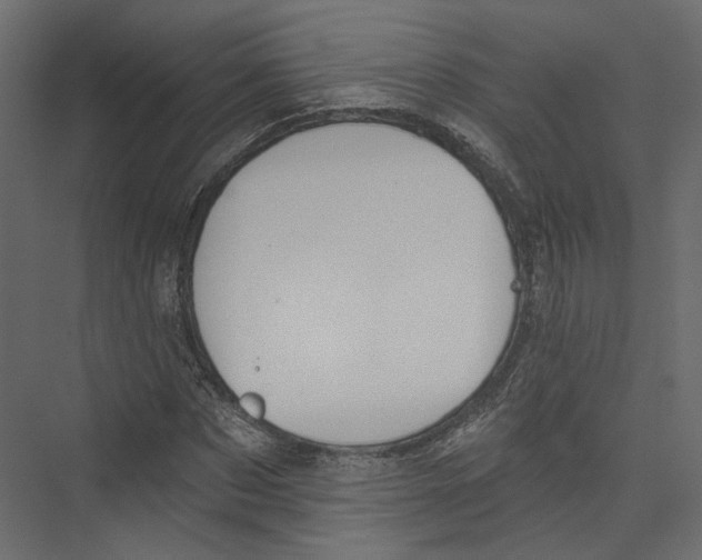 X0000075340873200610061652