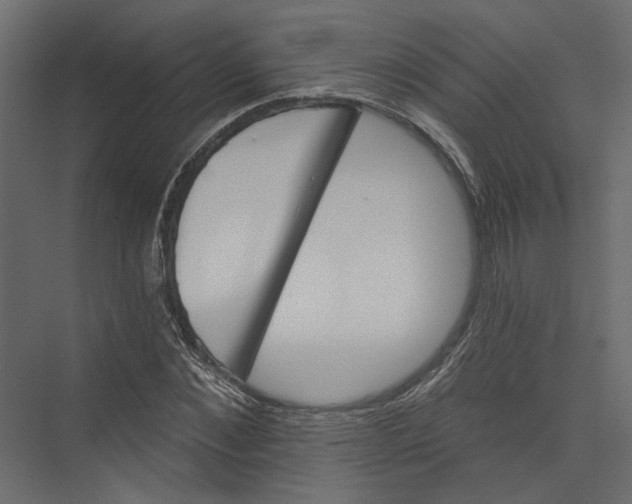 X0000075340876200610061652
