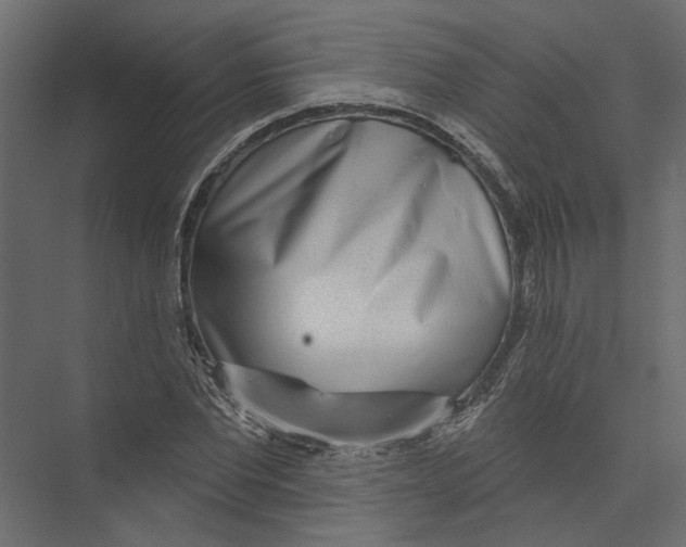 X0000075340877200610061652