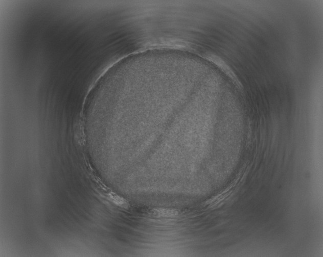 X0000075340878200610061652