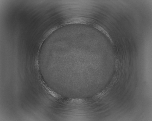 X0000075340882200610061652