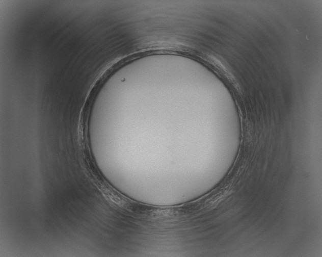 X0000075340883200610061652