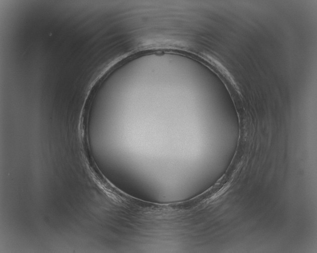 X0000075340885200610061652