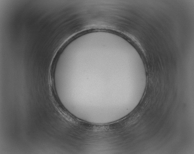 X0000075340887200610061652