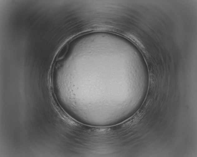 X0000075340891200610061652