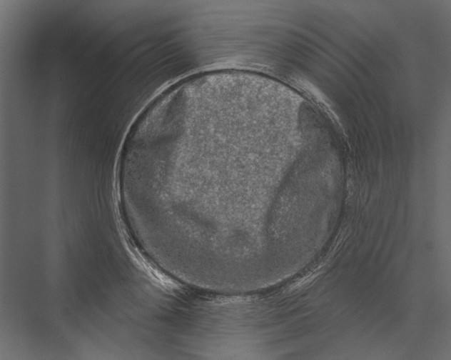 X0000075340892200610061652