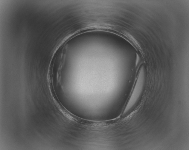 X0000075340893200610061652