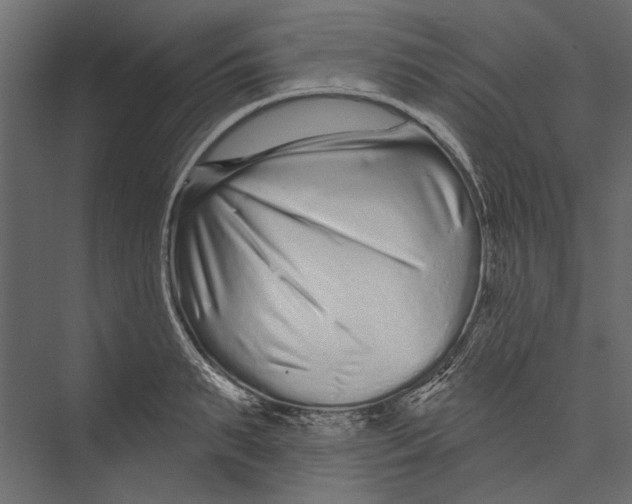 X0000075340895200610061652
