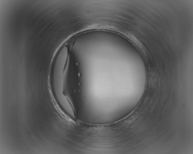 X0000075340896200610061652
