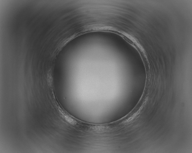 X0000075340897200610061652