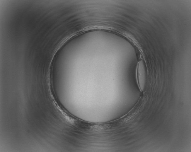 X0000075340898200610061652