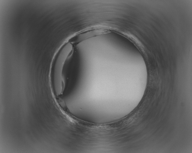 X0000075340902200610061652