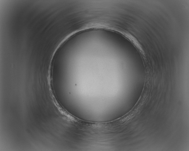 X0000075340904200610061651