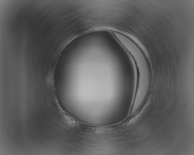 X0000075340905200610061651