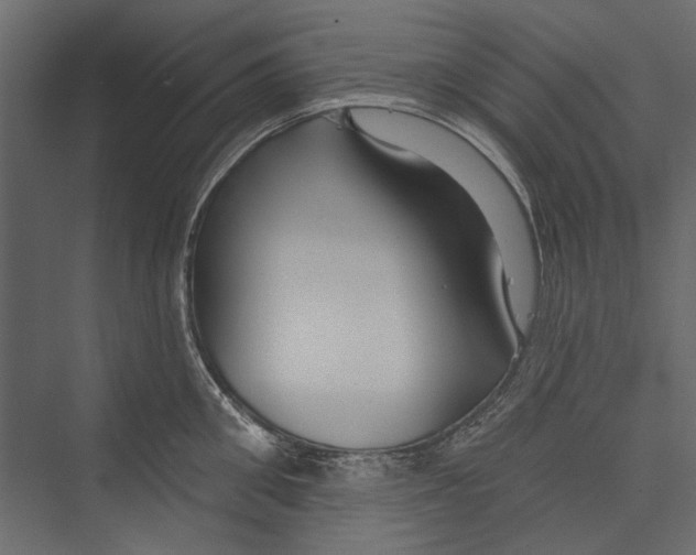 X0000075340906200610061651