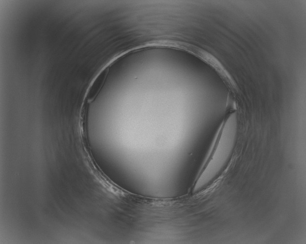 X0000075340908200610061651