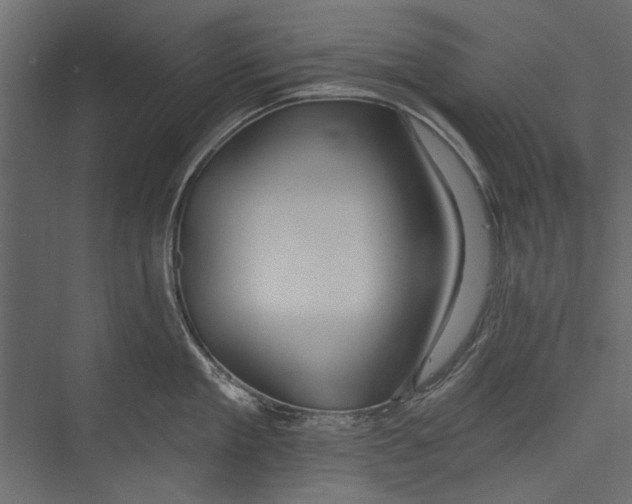 X0000075340909200610061651