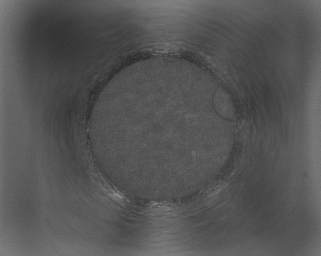 X0000075340913200610061651