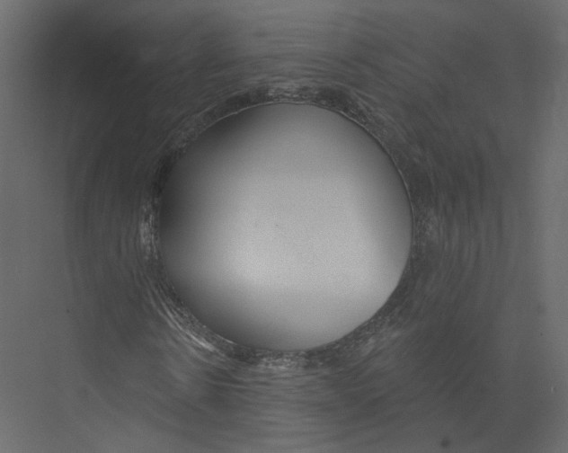 X0000075340914200610061651