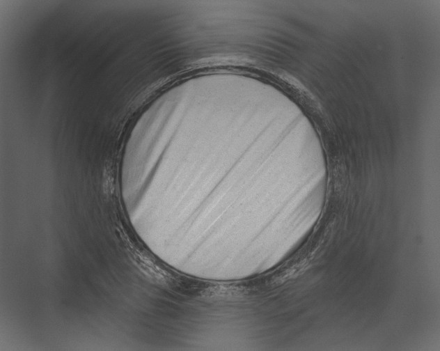 X0000075340929200610061651