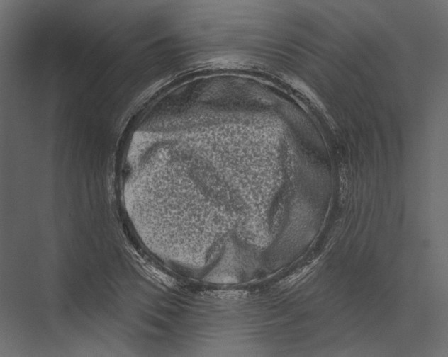 X0000075340930200610061651