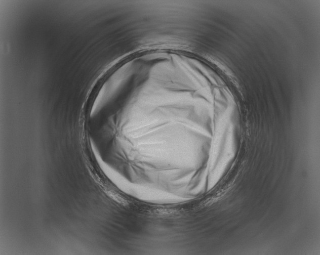 X0000075340933200610061651